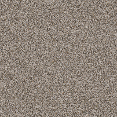 BREAK AWAY (B) - Dolphin 00500