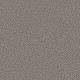 BREAK AWAY (B) - Fossil 00531 BREAK AWAY (B) - Fossil 00531