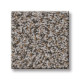 BREAK AWAY (B) - Fossil 00531 BREAK AWAY (B) - Fossil 00531