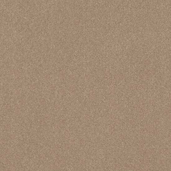 SOLIDIFY I 15' - Raw Lumber 00102