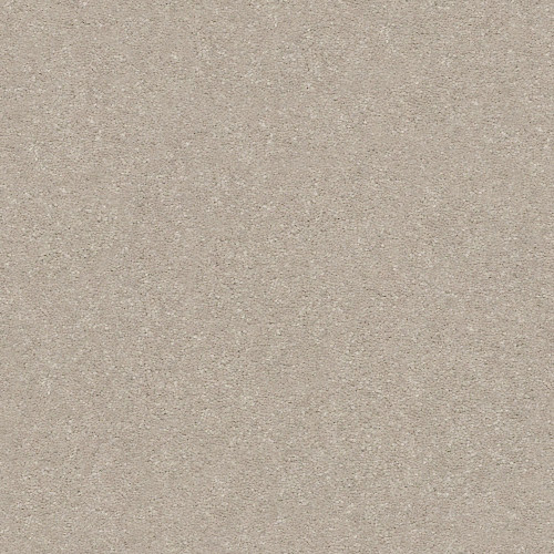 SOLIDIFY II 12' - Dreamy 00103