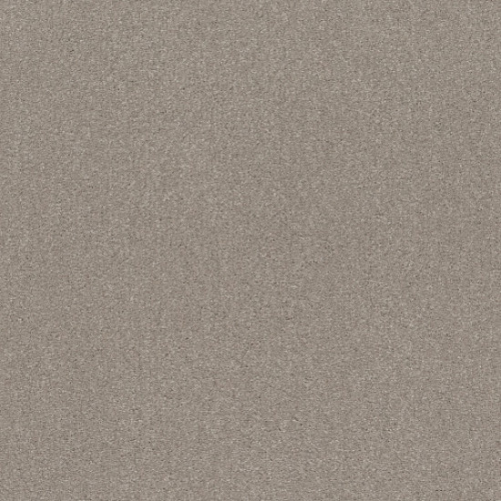 SOLIDIFY II 15' - Greige 00106