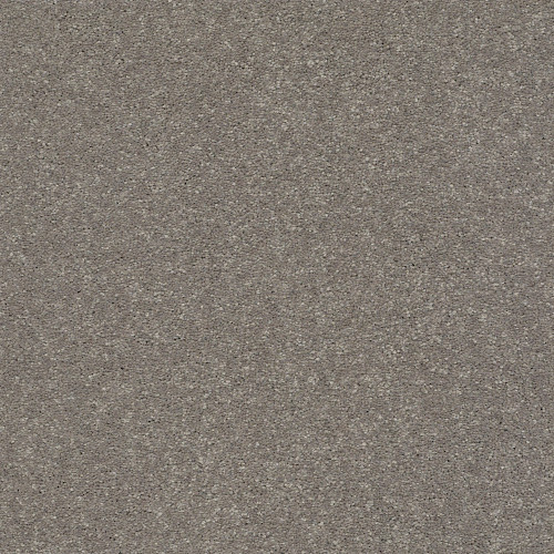SOLIDIFY II 15' - Tree Bark 00700