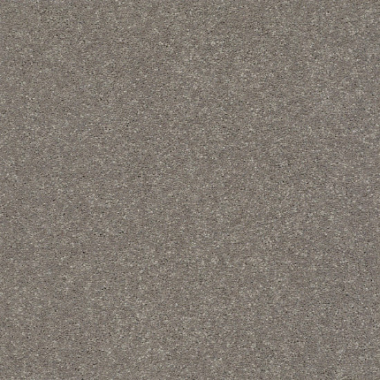 SOLIDIFY II 15' - Tree Bark 00700