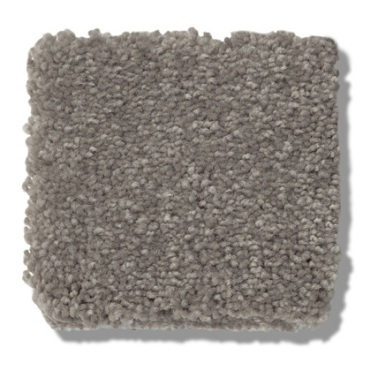 SOLIDIFY II 15' - Tree Bark 00700