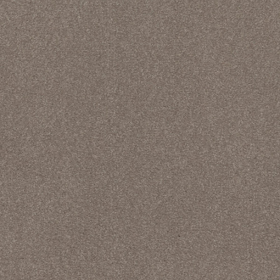 SOLIDIFY II 15' - Tree Bark 00700