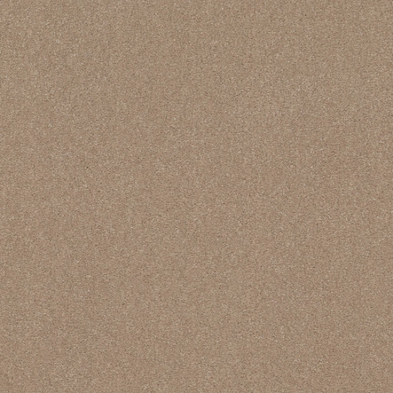 SOLIDIFY III 12' - Raw Lumber 00102 SOLIDIFY III 12' - Raw Lumber 00102