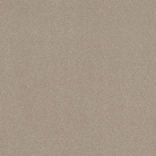 SOLIDIFY III 12' - Dreamy 00103