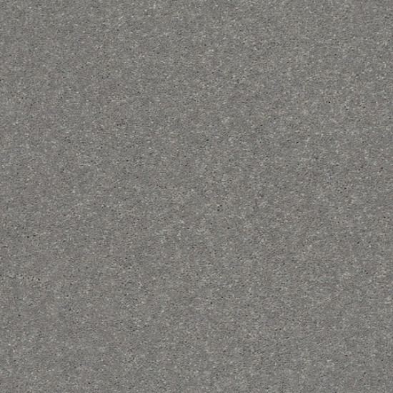 SOLIDIFY III 12' - Taupe Stone 00502 SOLIDIFY III 12' - Taupe Stone 00502