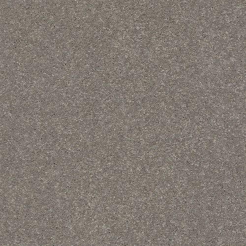SOLIDIFY III 12' - Tree Bark 00700