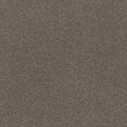 SOLIDIFY III 12' - Pewter 00701