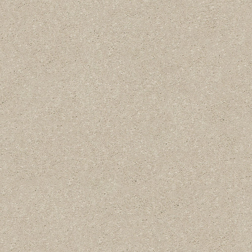 SOLIDIFY III 15' - Bleached 00101