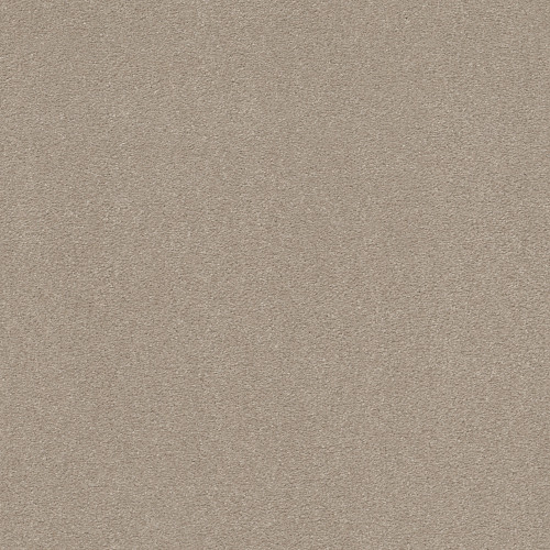SOLIDIFY III 15' - Dreamy 00103