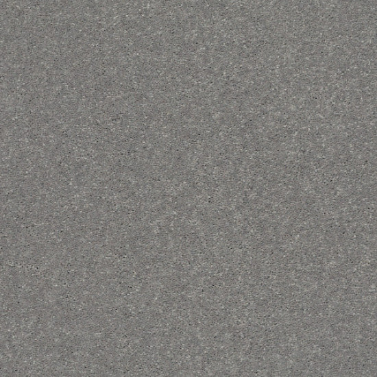 SOLIDIFY III 15' - Taupe Stone 00502