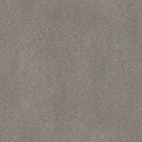 SOLIDIFY III 15' - Taupe Stone 00502