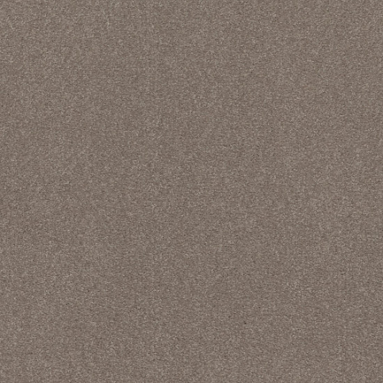 SOLIDIFY III 15' - Tree Bark 00700 SOLIDIFY III 15' - Tree Bark 00700