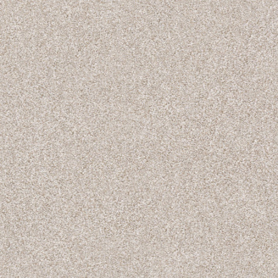 MAKE IT MINE II - Desert Light 00121 MAKE IT MINE II - Desert Light 00121