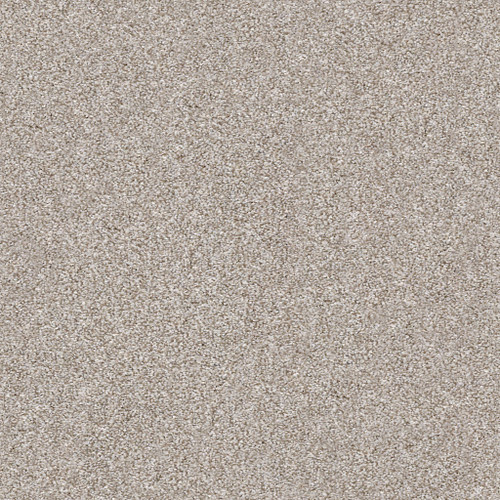 MAKE IT MINE II - Winter Dunes 00123