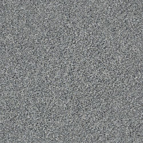 WITHIN REACH I - Grey Fox 00504