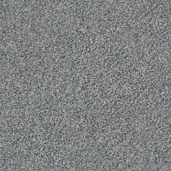 WITHIN REACH I - Grey Fox 00504 WITHIN REACH I - Grey Fox 00504