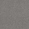 WITHIN REACH II - Grey Fox 00504