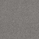 WITHIN REACH II - Grey Fox 00504