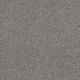 WITHIN REACH II - Grey Fox 00504