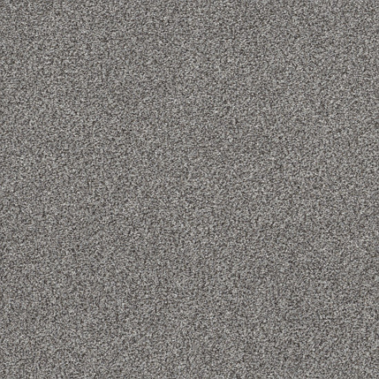 WITHIN REACH II - Grey Fox 00504