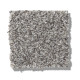 WITHIN REACH II - Grey Fox 00504