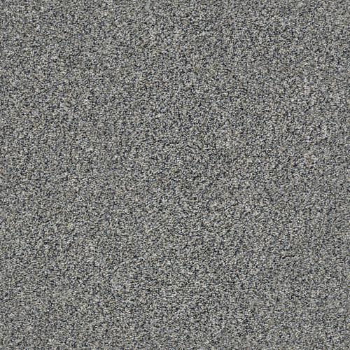 WITHIN REACH III - Shoreline 00106