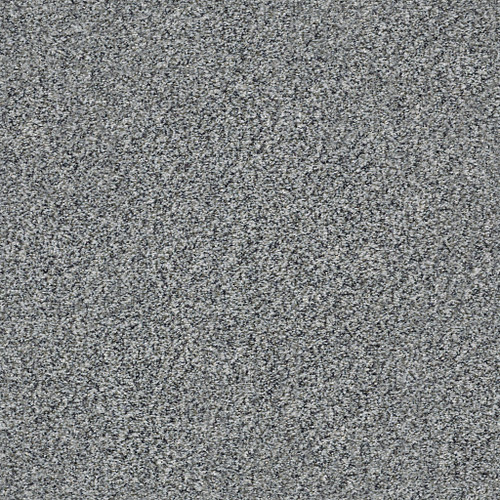 WITHIN REACH III - Grey Fox 00504
