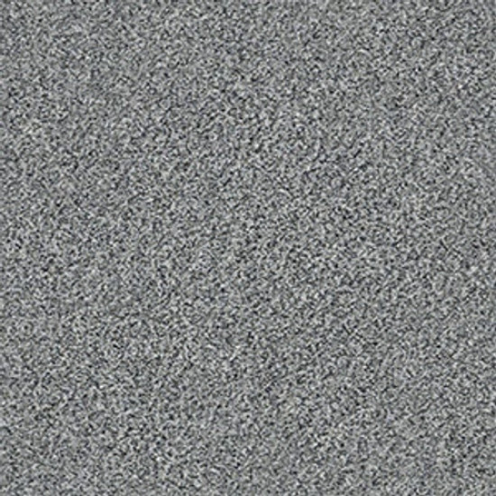 WITHIN REACH III - Grey Fox 00504 WITHIN REACH III - Grey Fox 00504