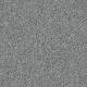 WITHIN REACH III - Grey Fox 00504 WITHIN REACH III - Grey Fox 00504