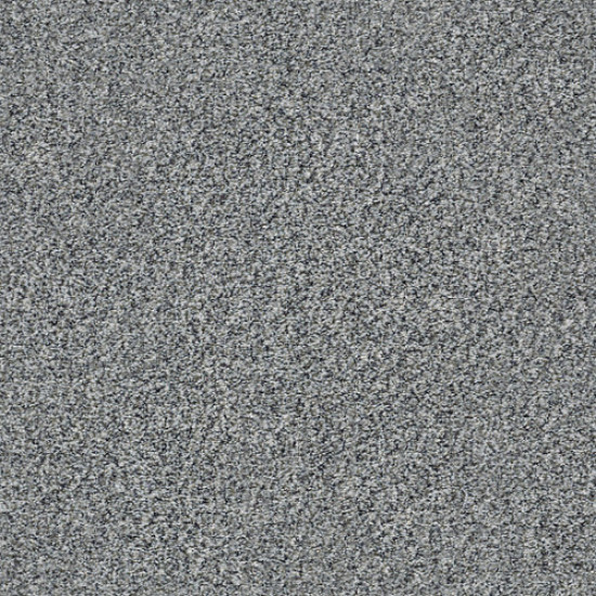 WITHIN REACH III - Grey Fox 00504 WITHIN REACH III - Grey Fox 00504