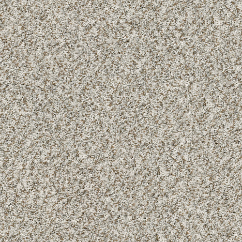 CABANA BAY (B) - Seashell 00151
