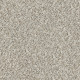 CABANA BAY (B) - Seashell 00151 CABANA BAY (B) - Seashell 00151