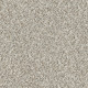 CABANA BAY (B) - Seashell 00151 CABANA BAY (B) - Seashell 00151