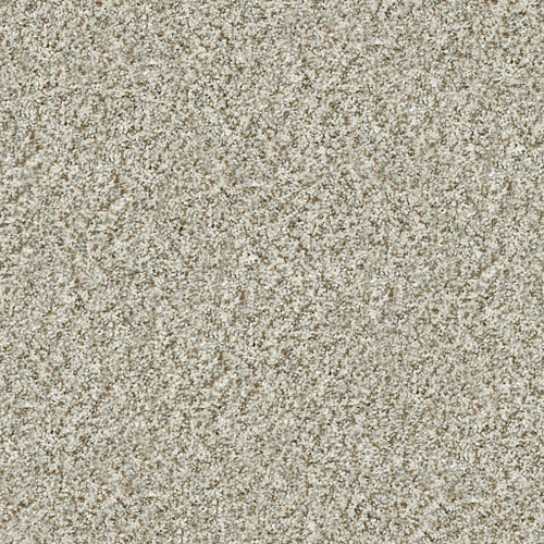 CABANA LIFE (B) - Seashell 00151