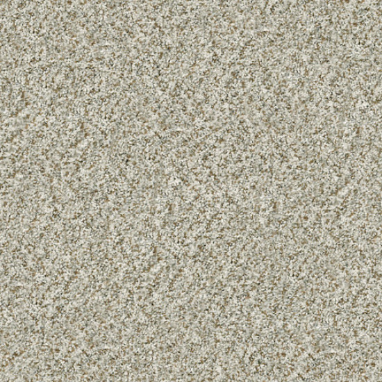 CABANA LIFE (B) - Seashell 00151