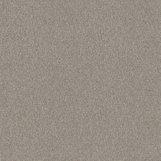 CABANA LIFE (B) - Seashell 00151
