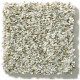 CABANA LIFE (B) - Seashell 00151