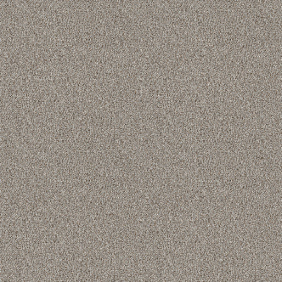 CABANA LIFE (B) - Seashell 00151