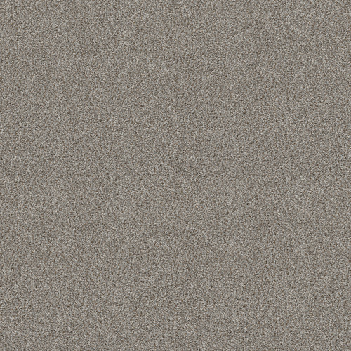 CABANA LIFE (B) - Stone 00550