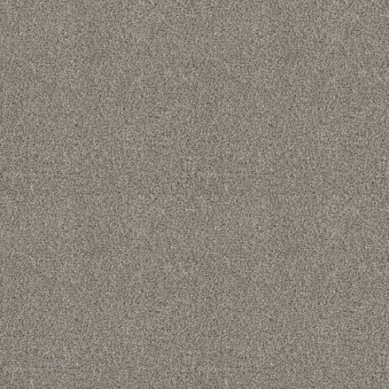 CABANA LIFE (B) - Stone 00550