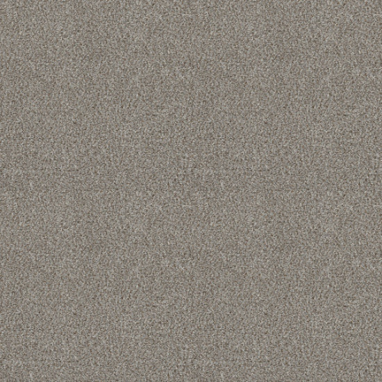 CABANA LIFE (B) - Stone 00550