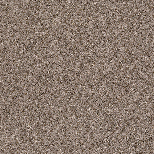 CABANA LIFE (B) - Brown Reed 00751