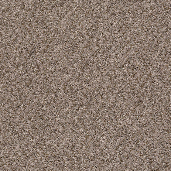 CABANA LIFE (B) - Brown Reed 00751