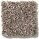 CABANA LIFE (B) - Brown Reed 00751