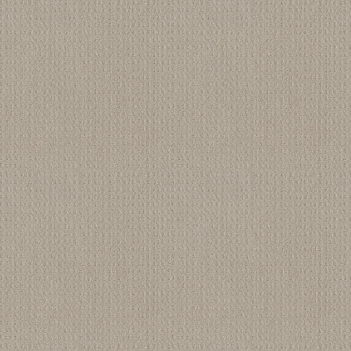 ESSENTIAL NOW - Fossil Path 00108