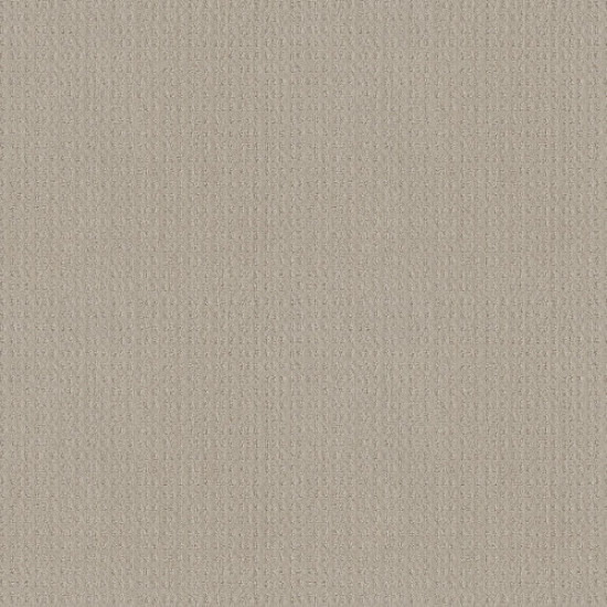 ESSENTIAL NOW - Fossil Path 00108 ESSENTIAL NOW - Fossil Path 00108